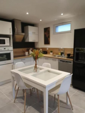 appartement f3 eurexpo groupama stadium meyzieu centre